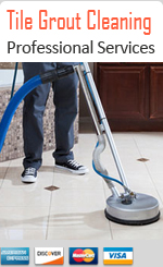 ceramic tile cleaners
