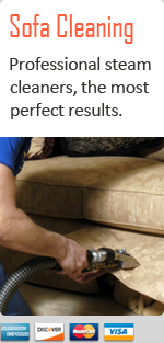 professional furniture cleaners